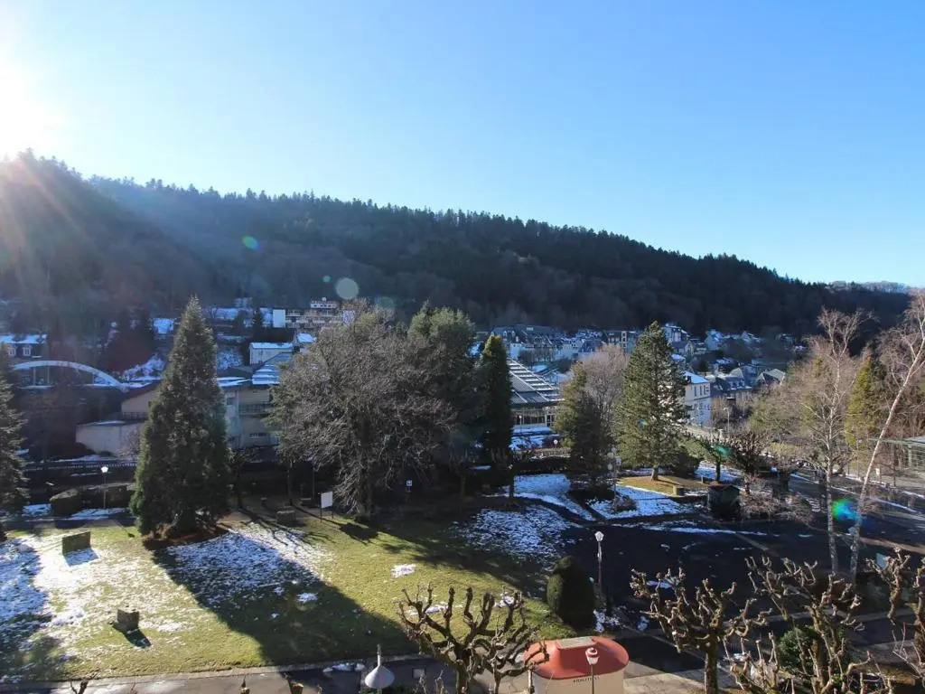 Appartement Mont-Dore, 2 pièces, 4 personnes - FR-1-608-115
