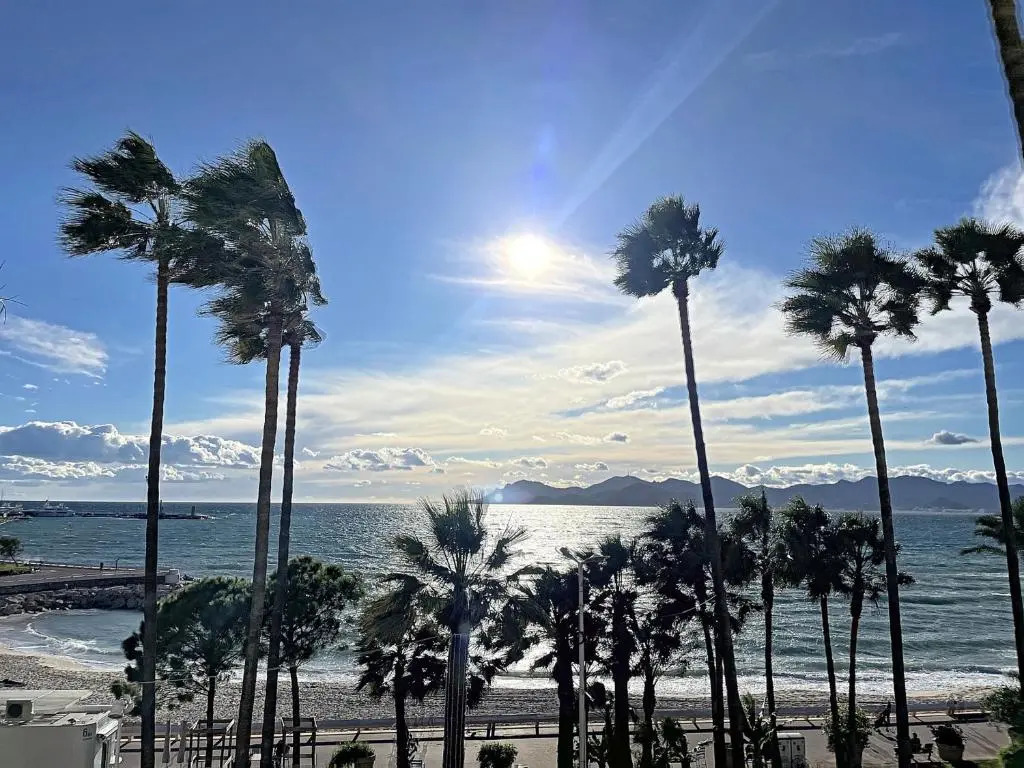 Appartement Cannes, 2 pièces, 4 personnes - FR-1-470-11