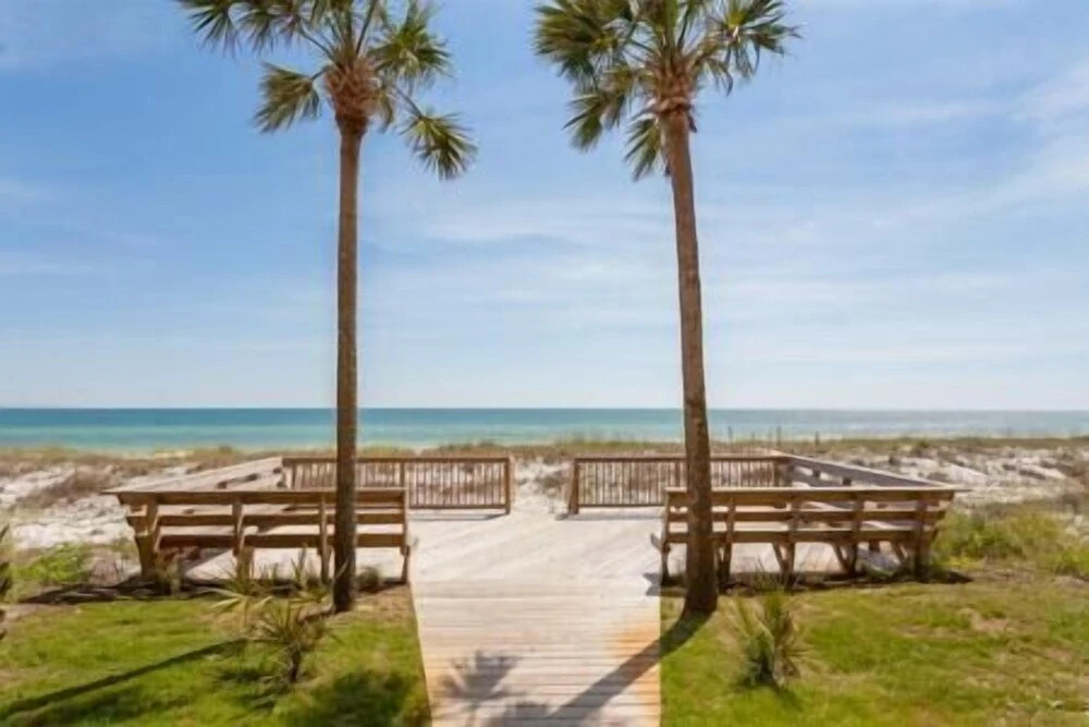 4 C Able Dreams