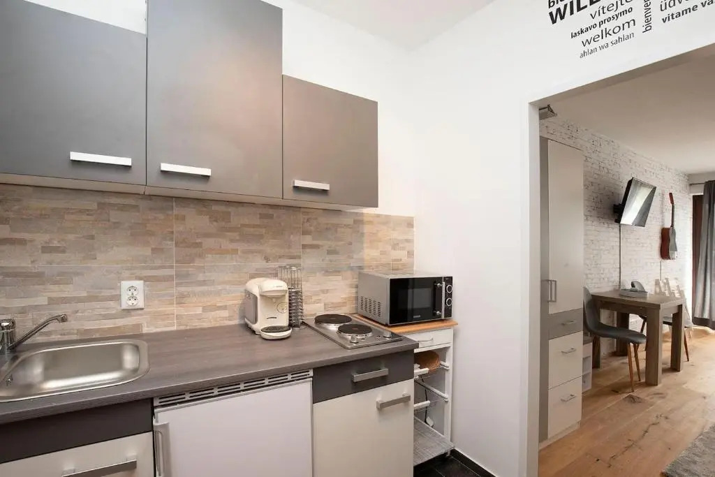 Modern Studio-Apartment in Gosau near Hallstatt
