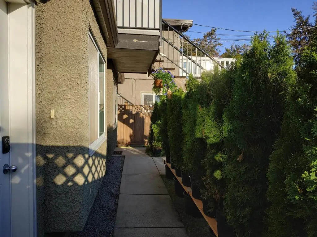 Entire 1BR Suite w King Bed, Private Entrance, Ground Level