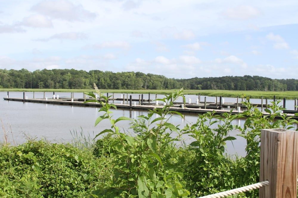 Surry Seafood Company