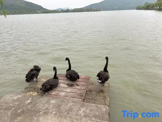 Shanjian Ge Farmstay (Nanbei Lake)