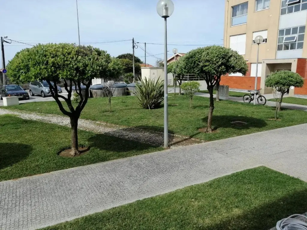 Lemon Tree Apartment