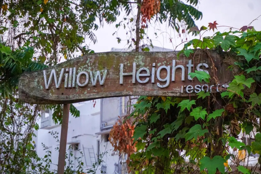Willow Heights