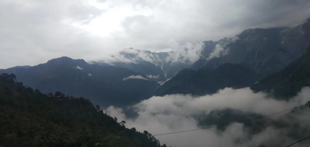 Hotel Victoriya Palace,Mcleod Ganj