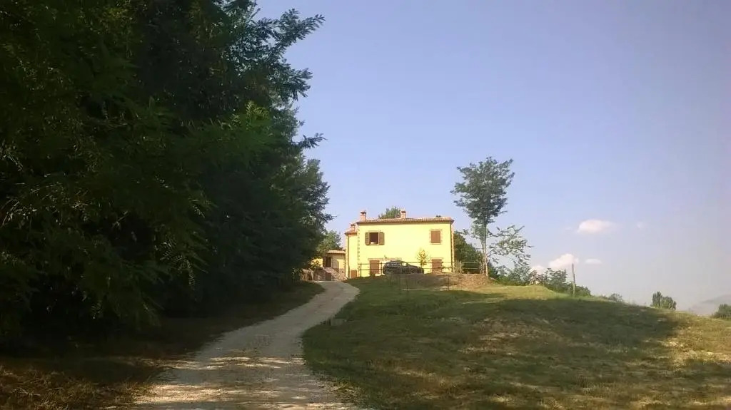 Il Gelso Rosso