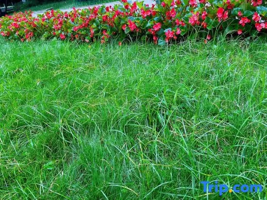 Xining Yunhui Homestay