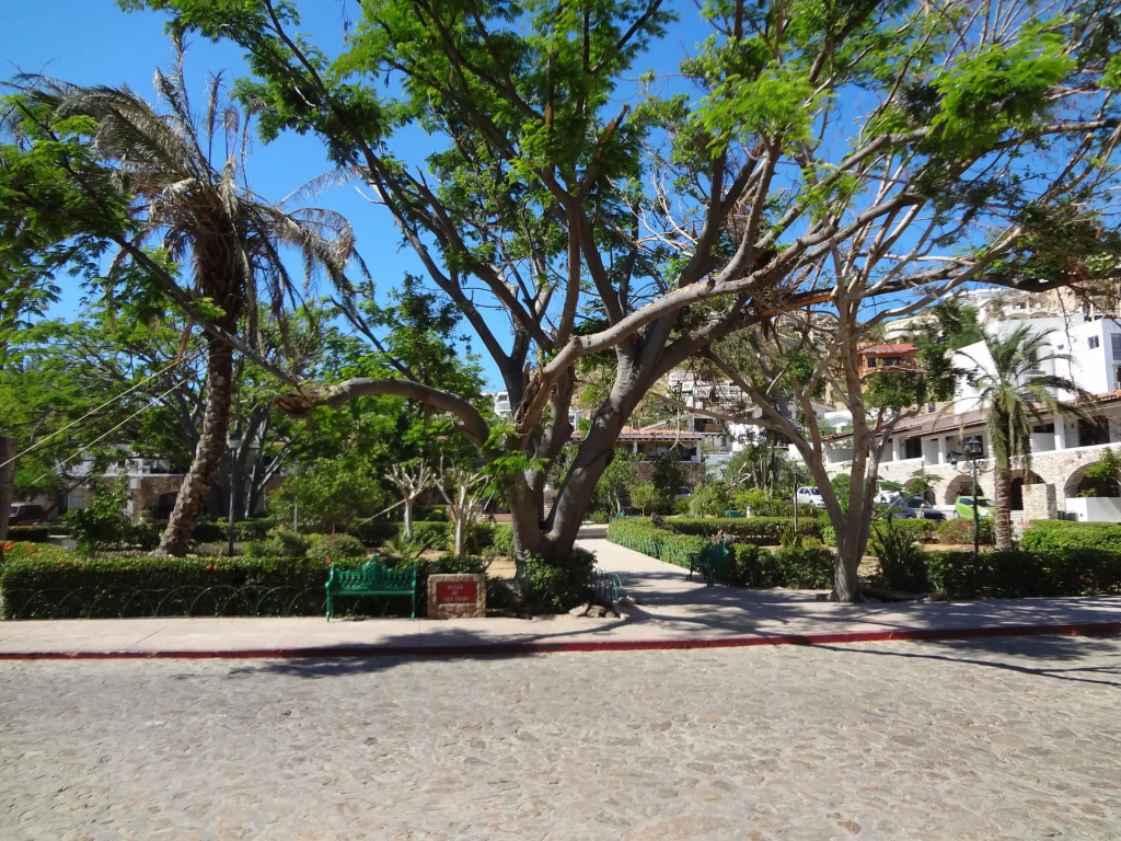 Cabo Pedregal Hotel