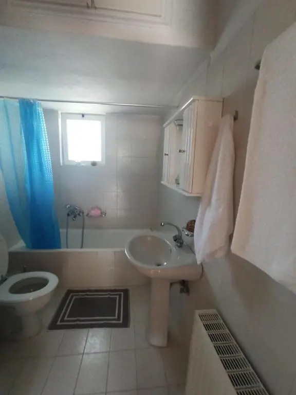 ELLI΄S HOUSE ΣΥΓΧΡΟΝΟ ΣΠΙΤΙ ΣΤΑ ΠΡΑΜΑΝΤΑ