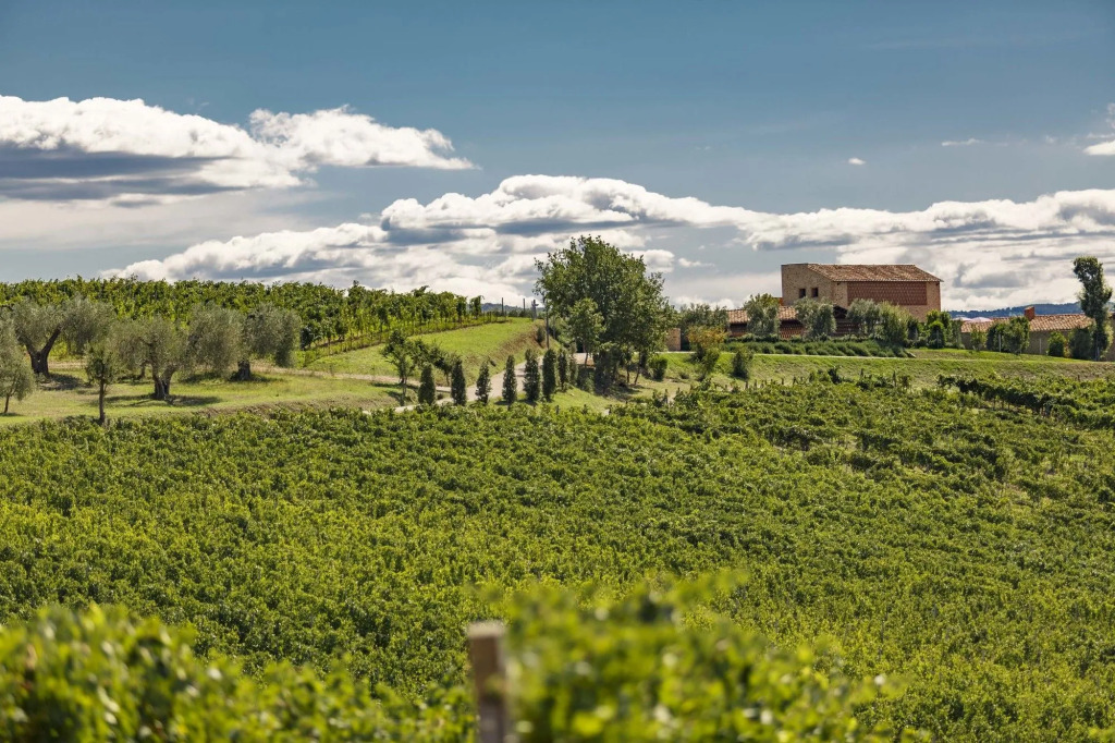 Pecora Vecchia - ColleMassari Hospitality
