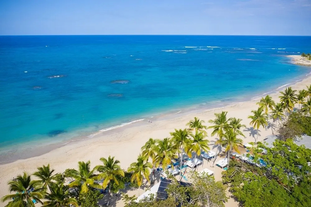 Emotions An Expression of Hodelpa Puerto Plata