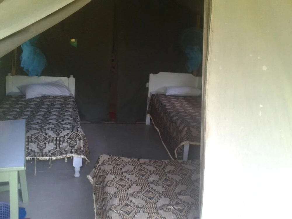 Rhino Camp