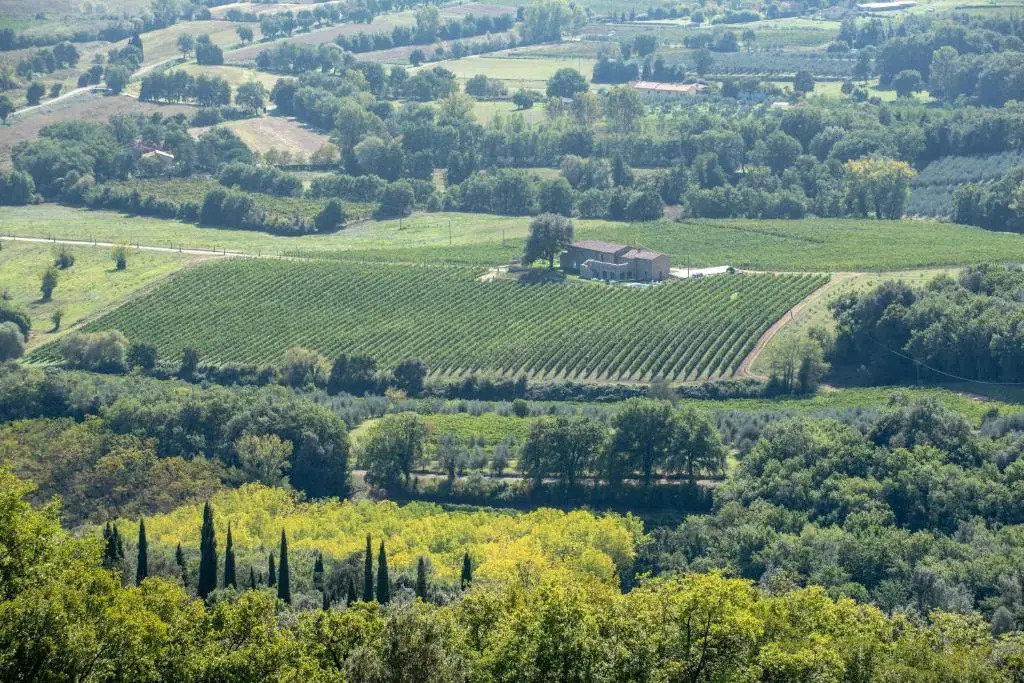 Podere La Doccia