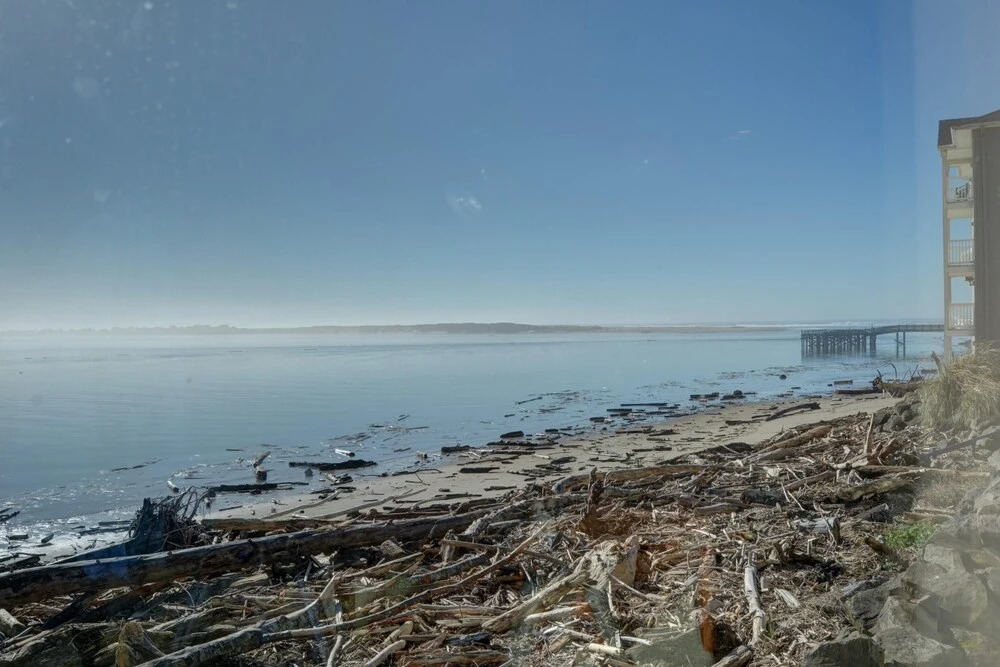 Dock of The Bay #203