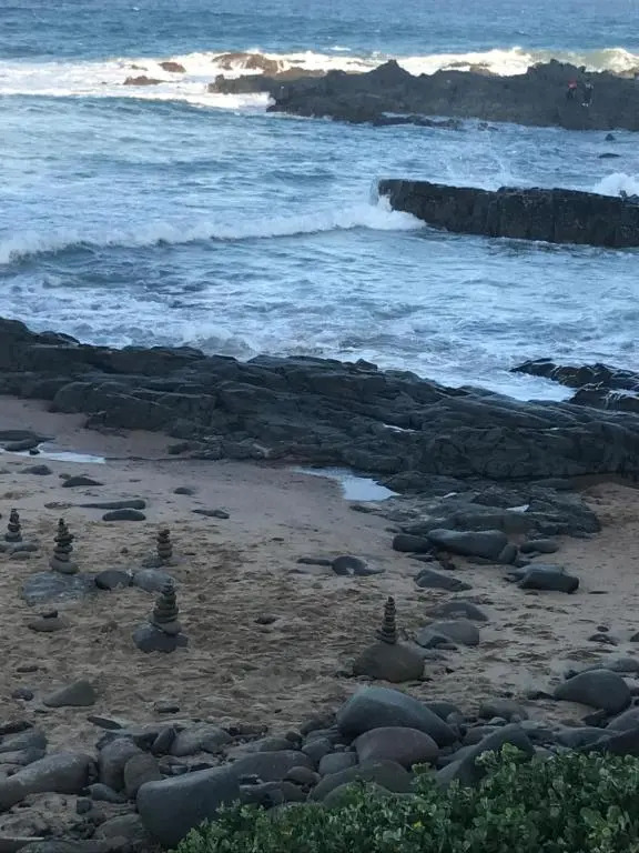Beach Forest Lodge