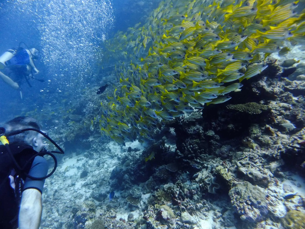 Rihiveli Maldives Resort