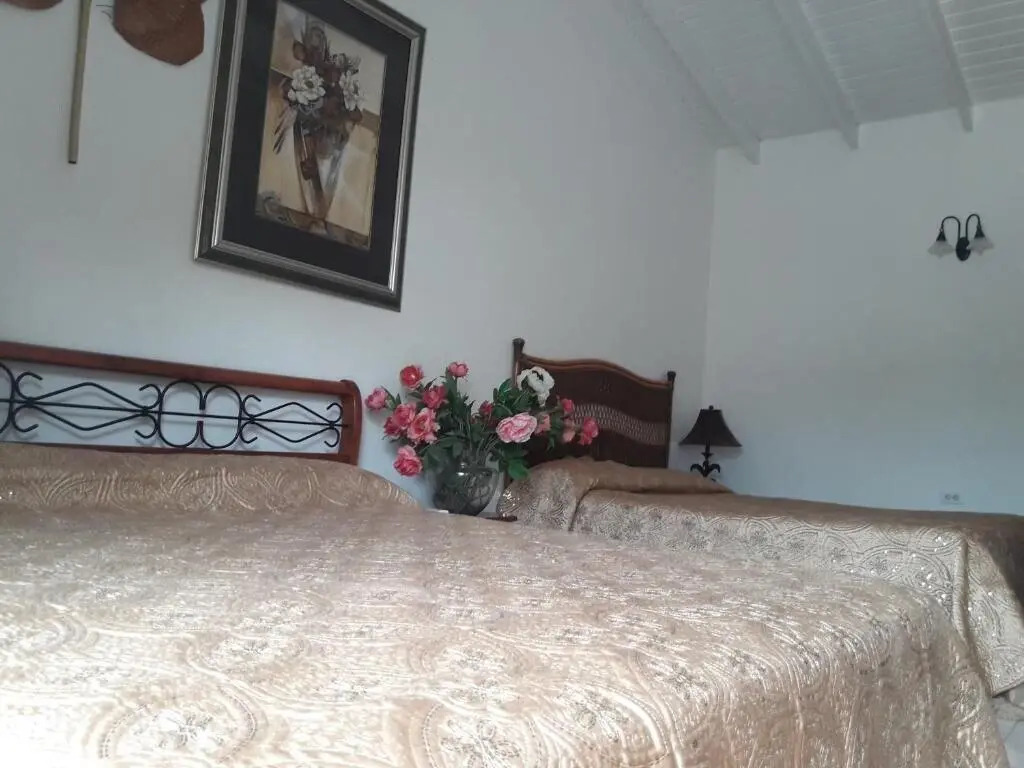 Palmitas Hostel with tropical garden & pool