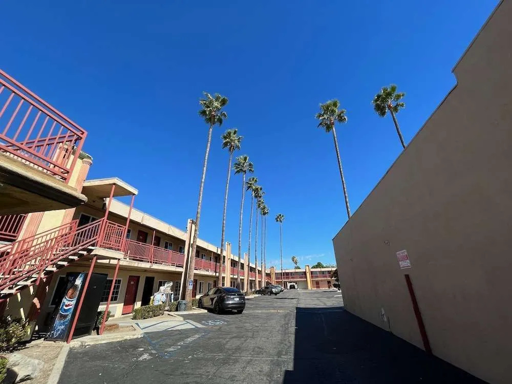 Palm Tree Inn