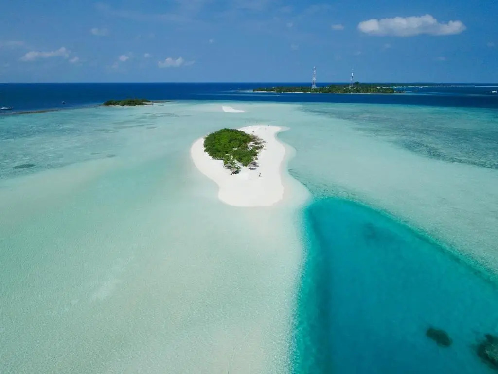 Quicksand Rasdhoo