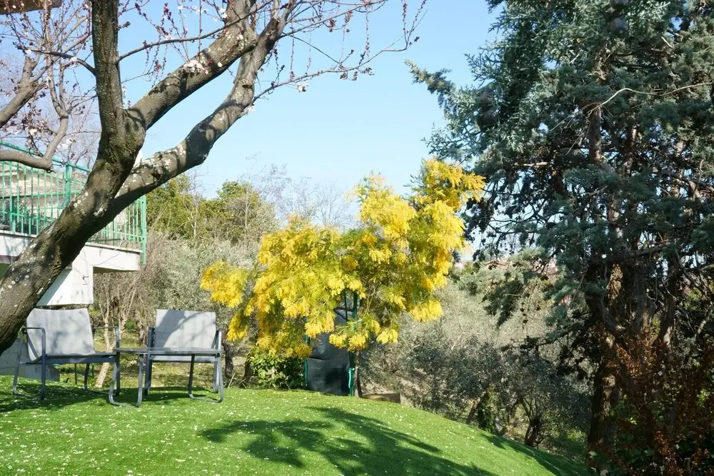 Loft With Private Garden, Close to Shops, Italy