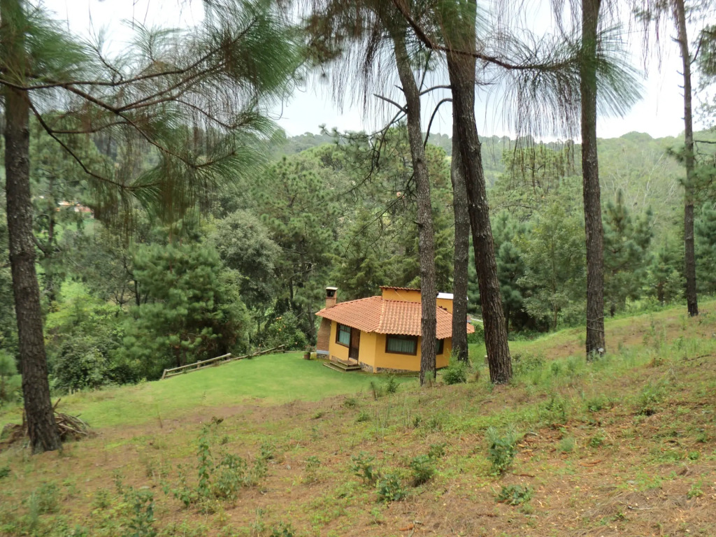 Cabañas El Pinar