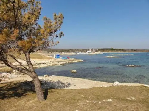 Apartmani Lusi