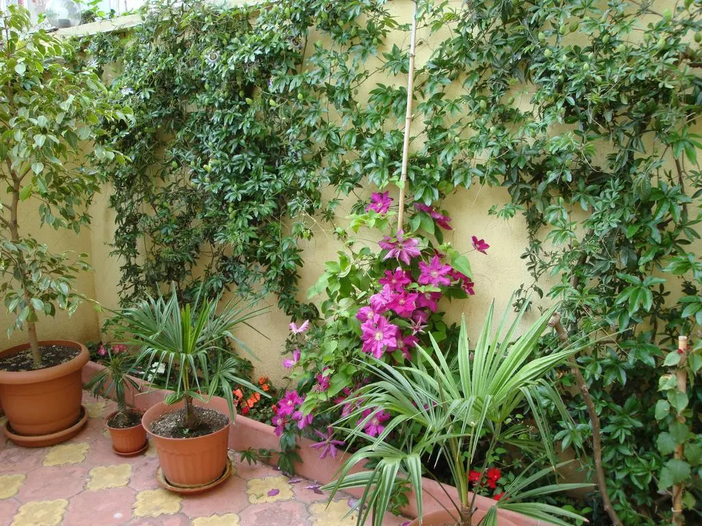 Stela Guest House