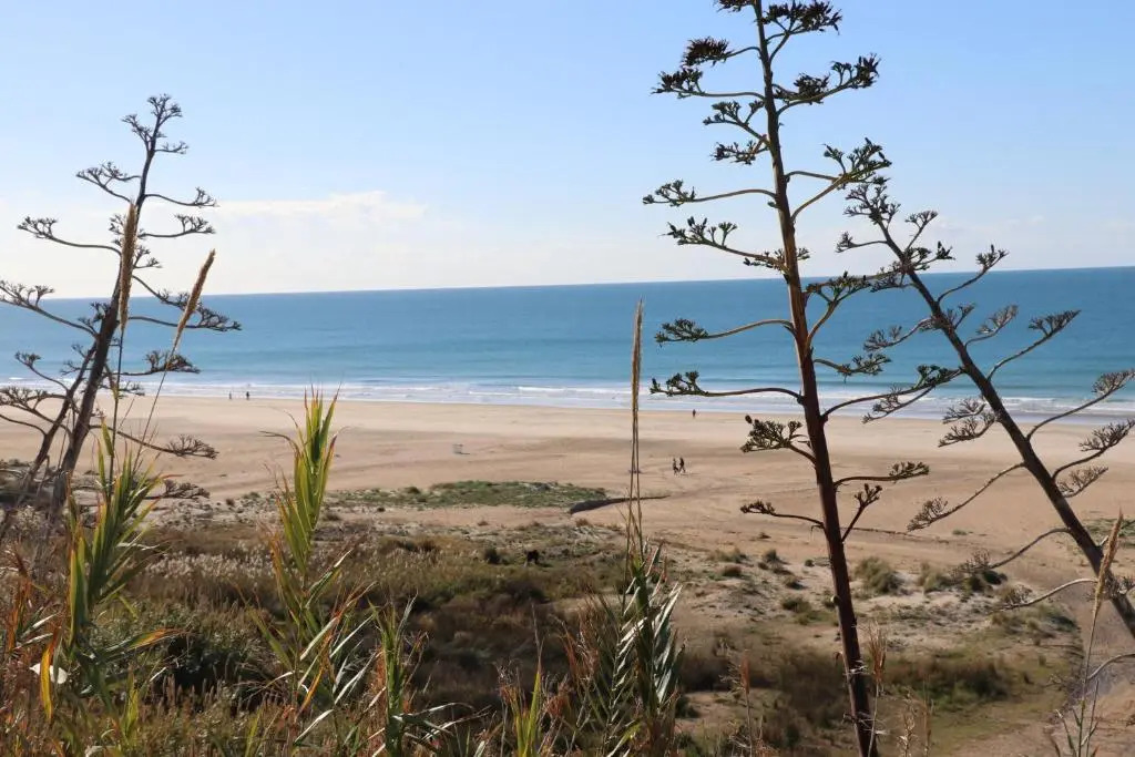 Apartamento Conil
