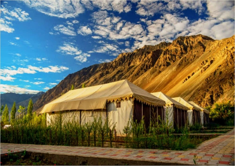 Nubra Escapes Camp