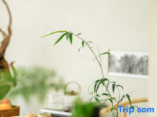 Jinyun FengQianduo Homestay (Xiandu Scenic Area Store)