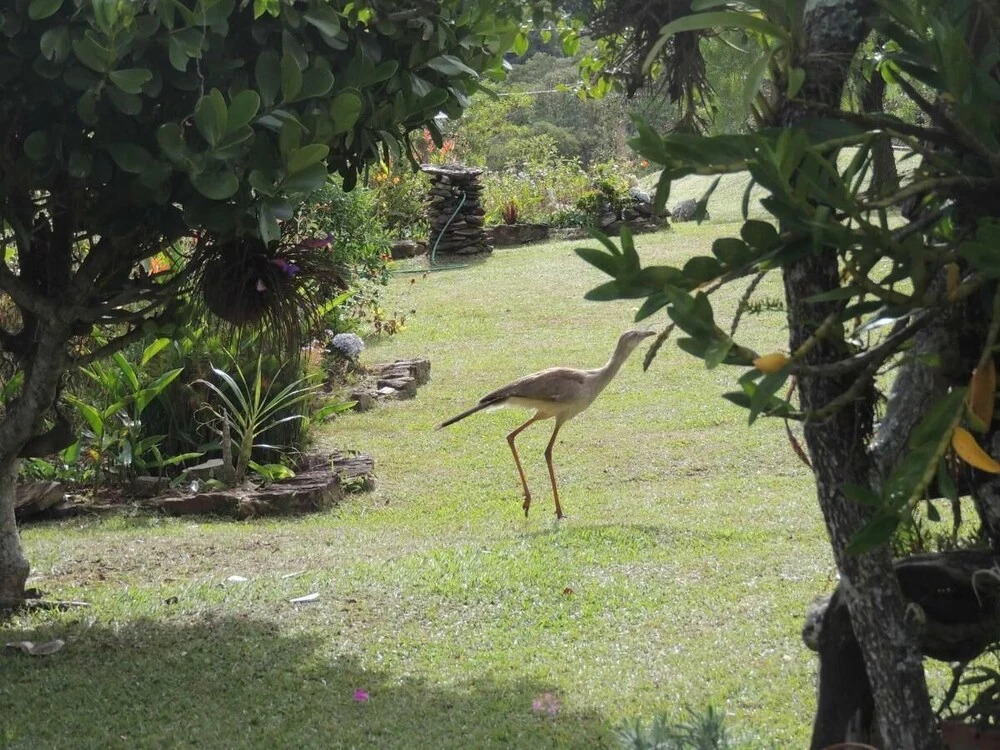 Pousada Sitio da Serra