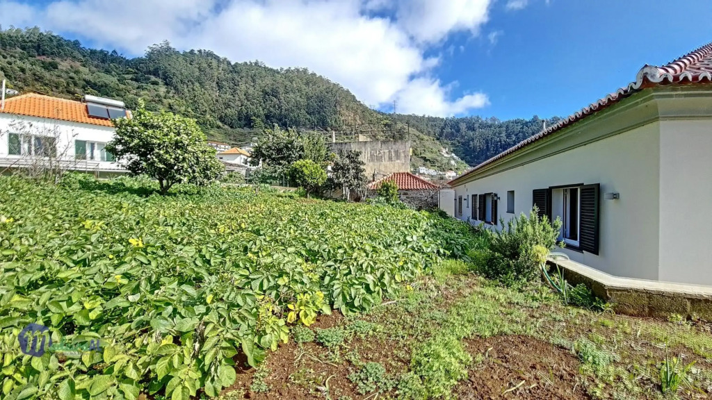 Yohanna's accommodation