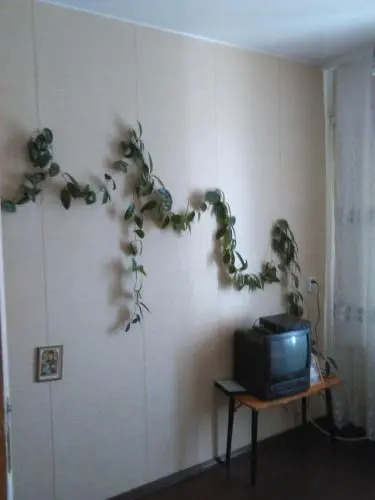 Guest house V pomosh' turistam