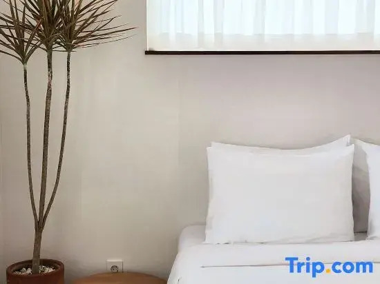 Hamdeok Beach and Gimnyeong Beach sea view accommodation 5 minutes walk from London Beagle Monttan