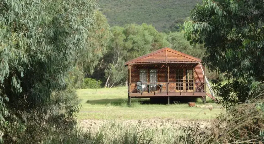 Our Camp Site