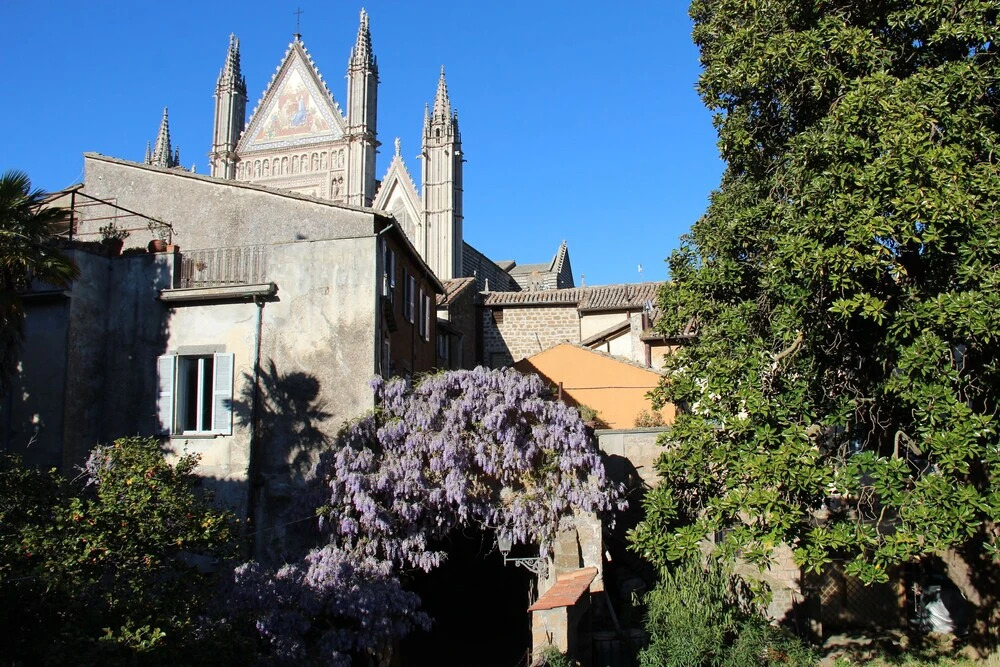 The Window on the Cathedral - Studio Apartment