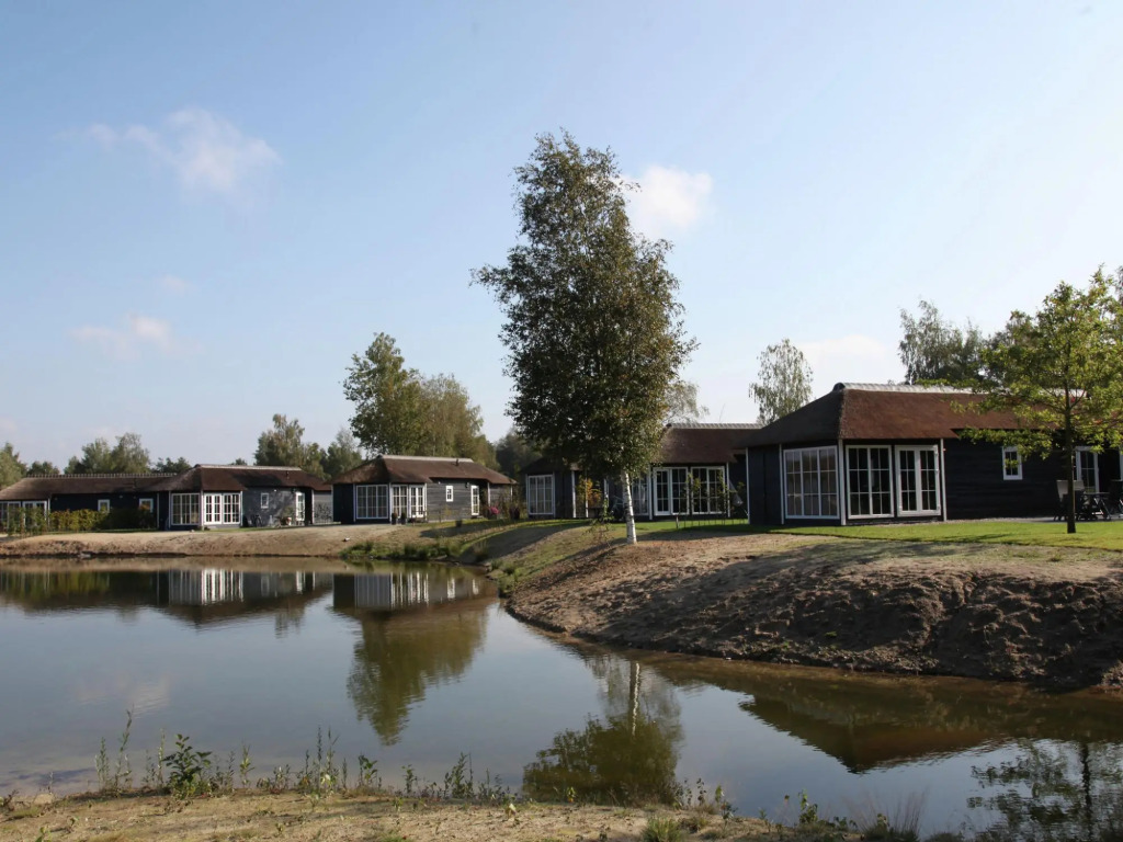 Thatched lodge with a combination microwave, at a holiday park in Twente
