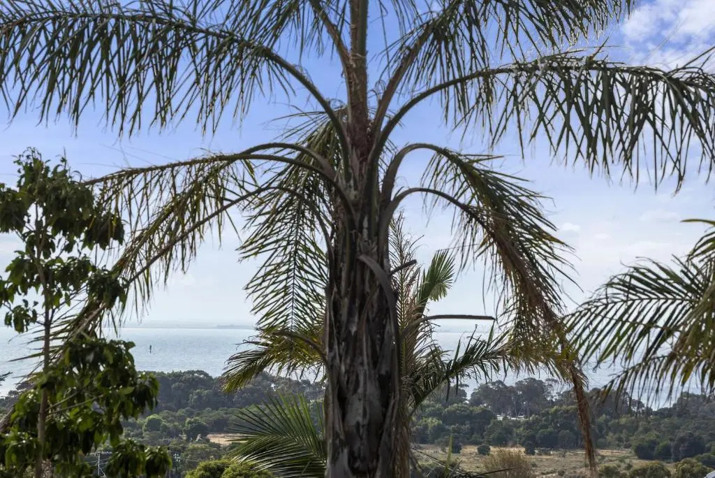 Bay View