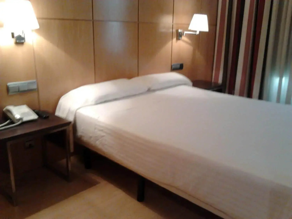 Hotel Feria