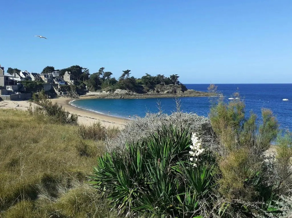 Les Grands Pins - plage du Val à 80 m - St Malo Rothéneuf