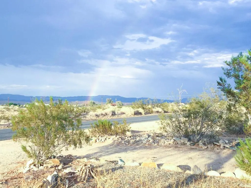 29 Hillside by JTNP Visitor Center