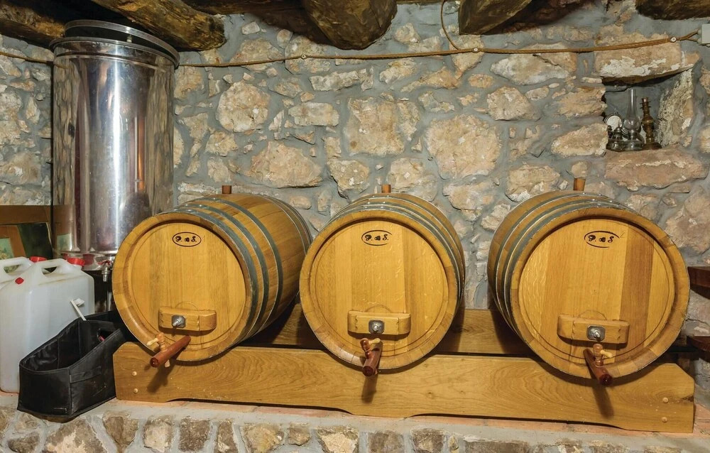 Awesome Home in Sveti Vid Dobrinjski with Hot Tub, WiFi & 6 Bedrooms