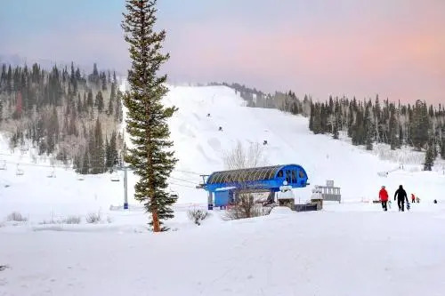 Eagle Springs East 207: Resting Moose Suite