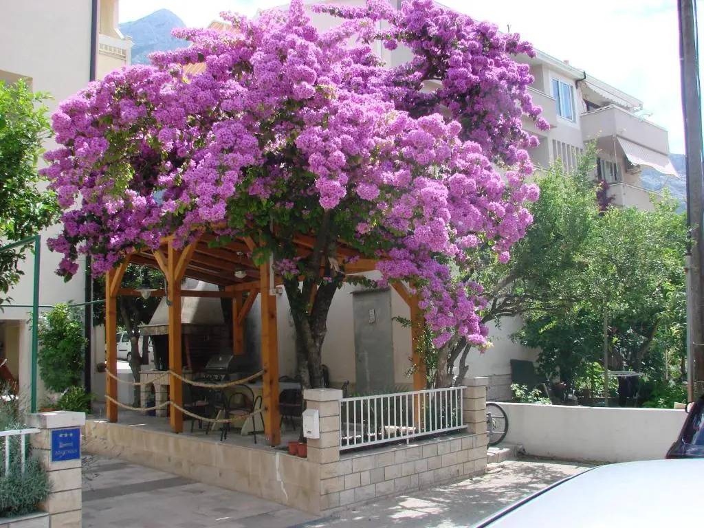 Apartment Letica