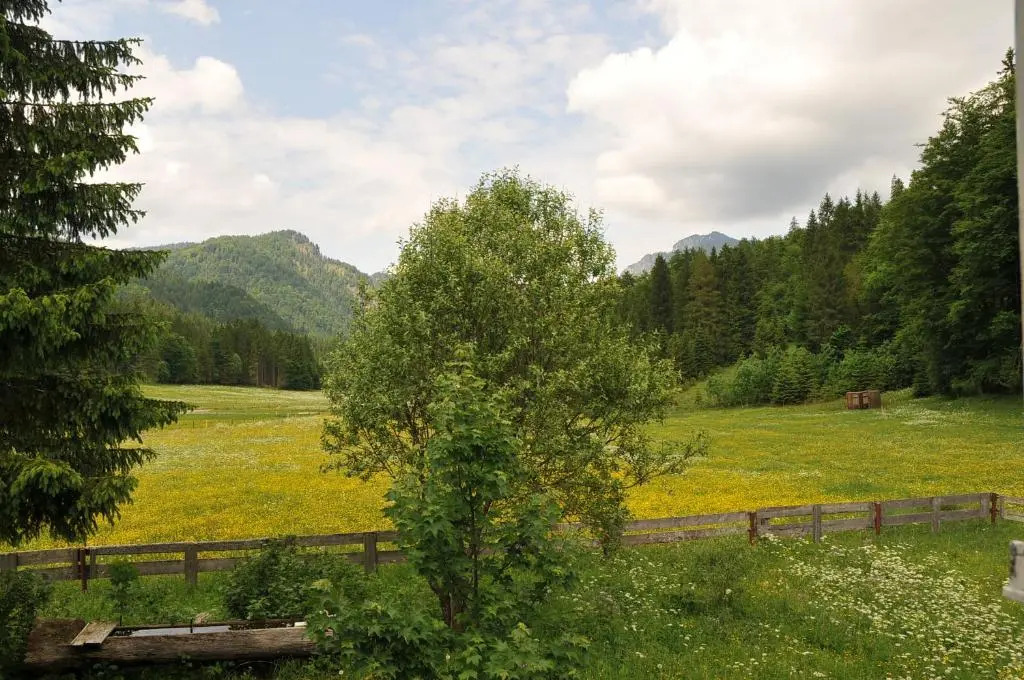 Gatterl zum See