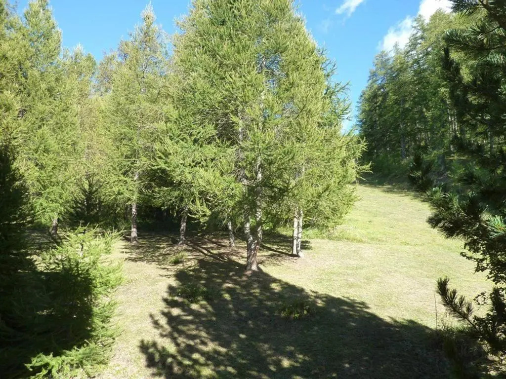 Appartement Les Orres, 1 pièce, 4 personnes - FR-1-322-190