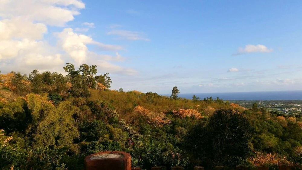Studio in L'étang Sale, With Wonderful sea View, Enclosed Garden and W