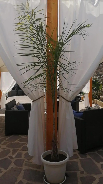 B&B Mario Relais