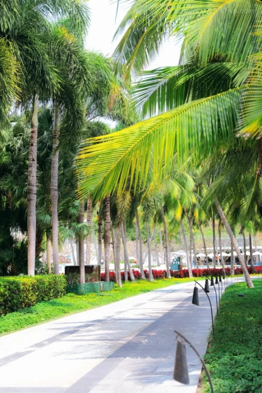 Отель Inter Continental SANYA RESORT by IHG
